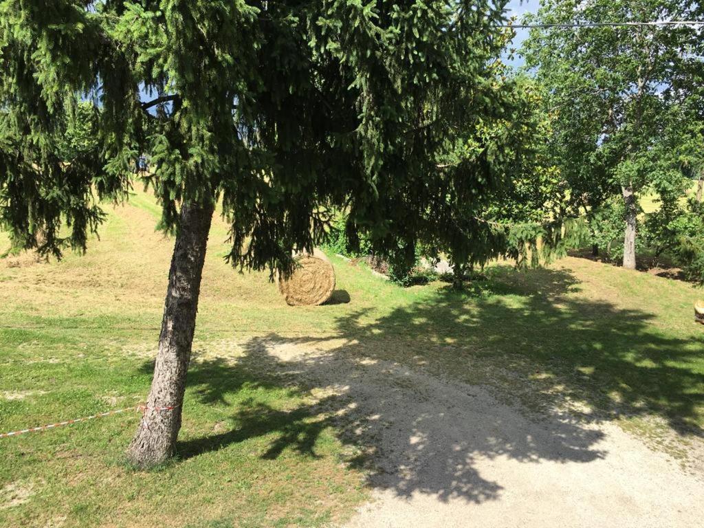 B&B Il Fienile Calcinato Luaran gambar